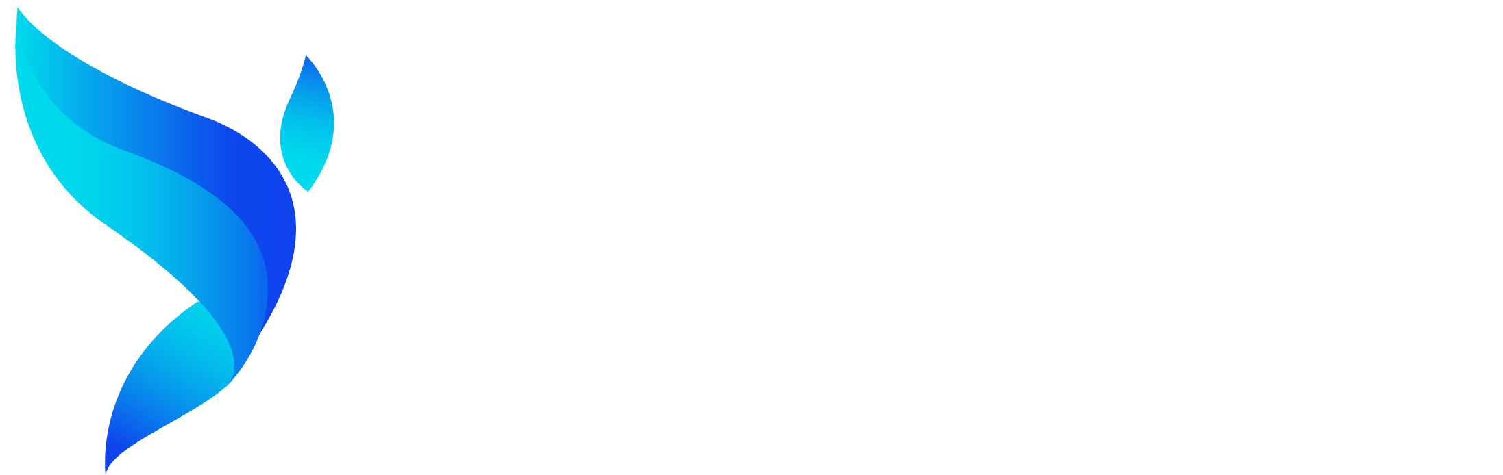 中云（山东）网络科技有限公司